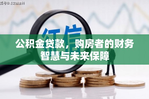 芦洲公积金贷款，购房者的财务智慧与未来保障