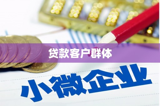 芦洲贷款客户群体