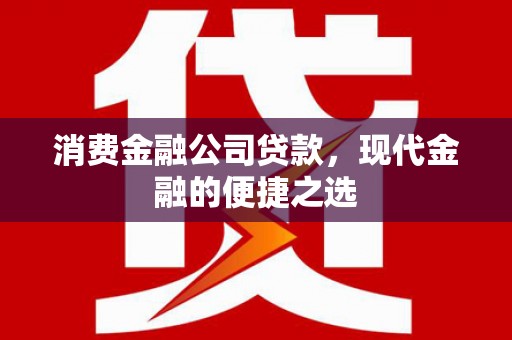 芦洲消费金融公司贷款，现代金融的便捷之选