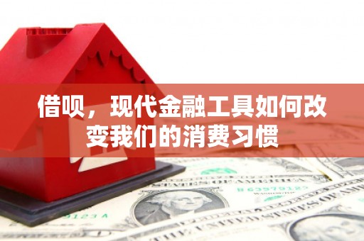 芦洲借呗，现代金融工具如何改变我们的消费习惯