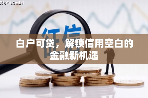 芦洲白户可贷，解锁信用空白的金融新机遇