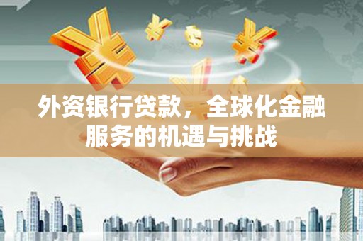 芦洲外资银行贷款，全球化金融服务的机遇与挑战