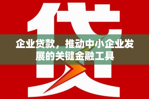 芦洲企业贷款，推动中小企业发展的关键金融工具