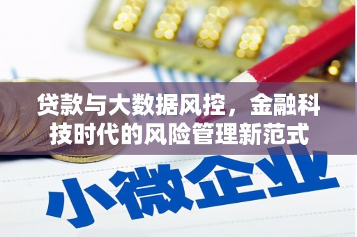 芦洲贷款与大数据风控，金融科技时代的风险管理新范式