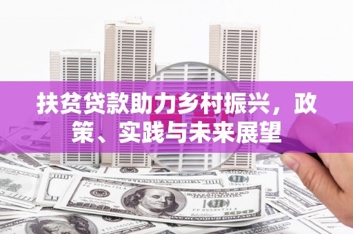 芦洲扶贫贷款助力乡村振兴，政策、实践与未来展望