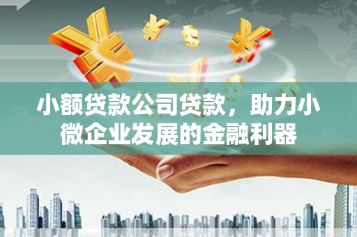 芦洲小额贷款公司贷款，助力小微企业发展的金融利器