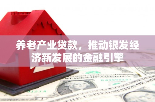 芦洲养老产业贷款，推动银发经济新发展的金融引擎