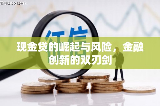 芦洲现金贷的崛起与风险，金融创新的双刃剑
