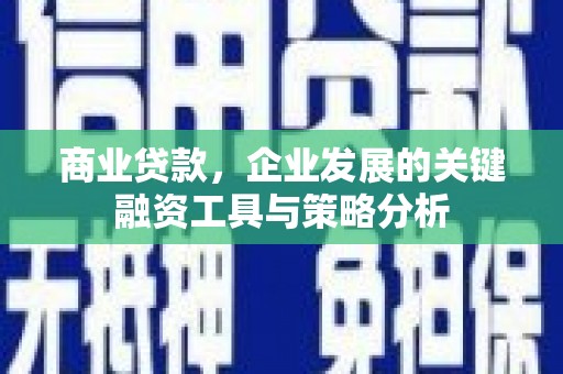 芦洲商业贷款，企业发展的关键融资工具与策略分析
