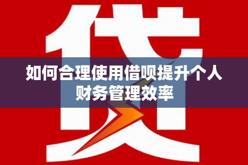 芦洲如何合理使用借呗提升个人财务管理效率