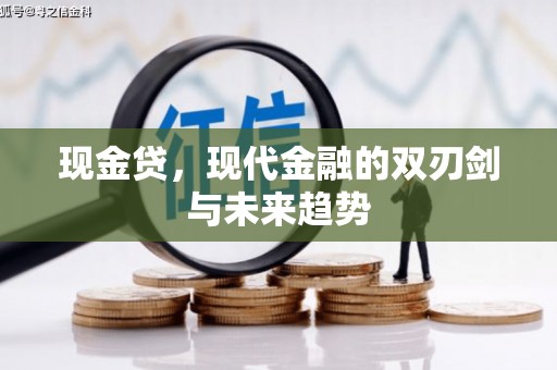 芦洲现金贷，现代金融的双刃剑与未来趋势