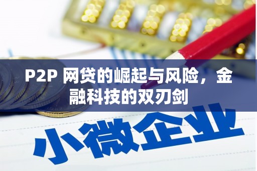 芦洲P2P 网贷的崛起与风险，金融科技的双刃剑