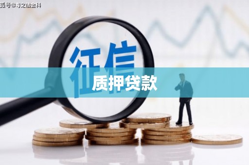 芦洲质押贷款