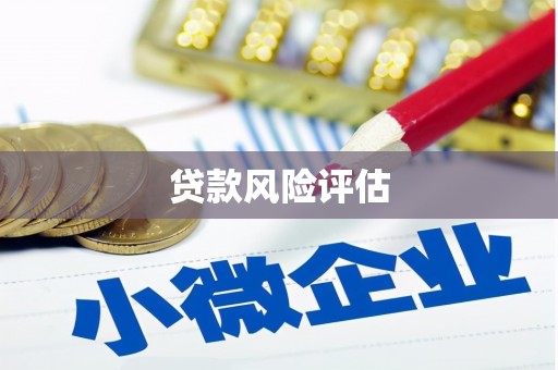 芦洲贷款风险评估
