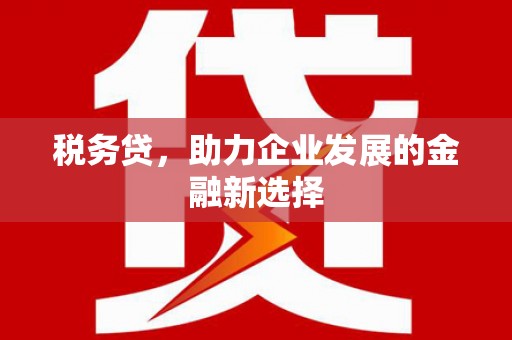 芦洲税务贷，助力企业发展的金融新选择