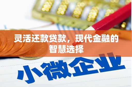 芦洲灵活还款贷款，现代金融的智慧选择