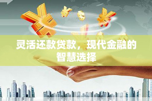 芦洲灵活还款贷款，现代金融的智慧选择