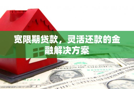 芦洲宽限期贷款，灵活还款的金融解决方案