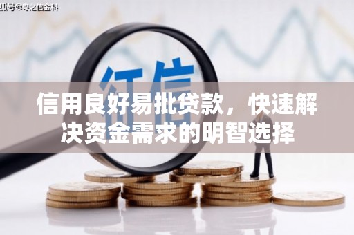 芦洲信用良好易批贷款，快速解决资金需求的明智选择