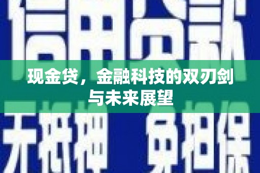 芦洲现金贷，金融科技的双刃剑与未来展望