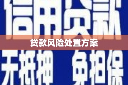芦洲贷款风险处置方案