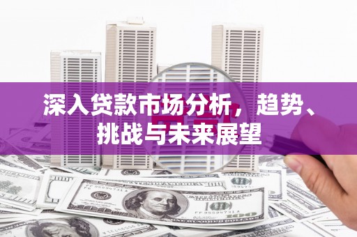 芦洲深入贷款市场分析，趋势、挑战与未来展望