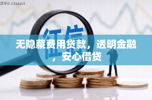 芦洲无隐藏费用贷款，透明金融，安心借贷
