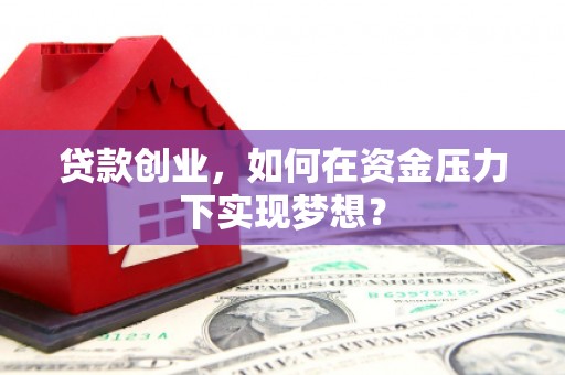 芦洲贷款创业，如何在资金压力下实现梦想？