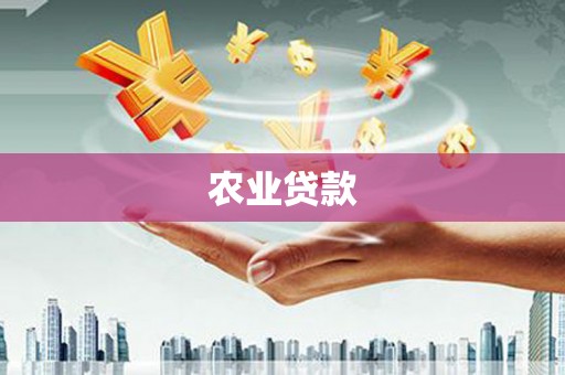 芦洲农业贷款