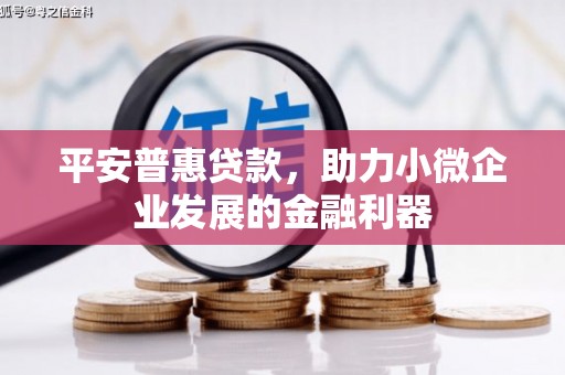 芦洲平安普惠贷款，助力小微企业发展的金融利器