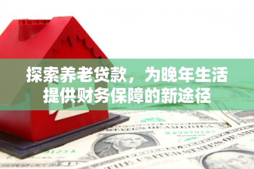 芦洲探索养老贷款，为晚年生活提供财务保障的新途径