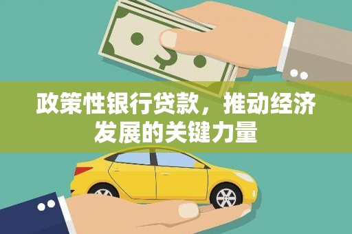 芦洲政策性银行贷款，推动经济发展的关键力量