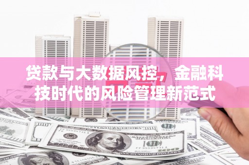 芦洲贷款与大数据风控，金融科技时代的风险管理新范式