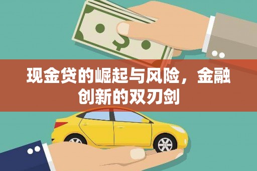 芦洲现金贷的崛起与风险，金融创新的双刃剑