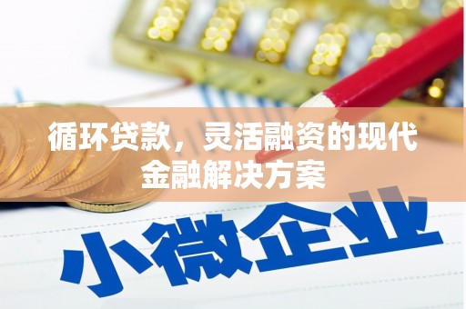 芦洲循环贷款，灵活融资的现代金融解决方案