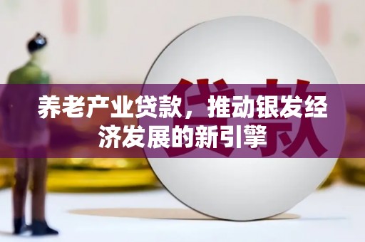 芦洲养老产业贷款，推动银发经济发展的新引擎