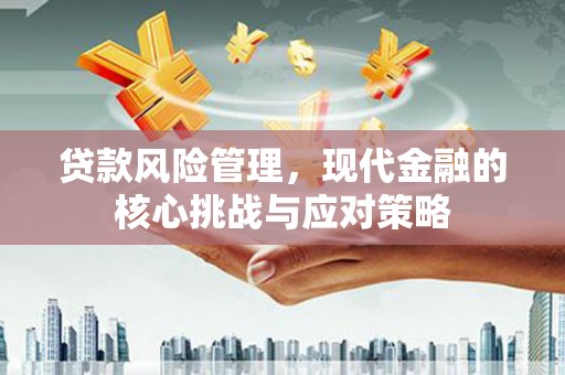 芦洲贷款风险管理，现代金融的核心挑战与应对策略