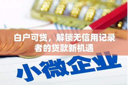 芦洲白户可贷，解锁无信用记录者的贷款新机遇