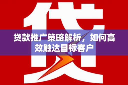 芦洲贷款推广策略解析，如何高效触达目标客户