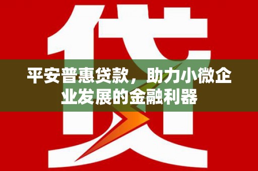 芦洲平安普惠贷款，助力小微企业发展的金融利器