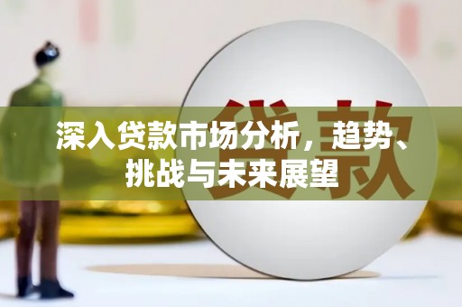 芦洲深入贷款市场分析，趋势、挑战与未来展望