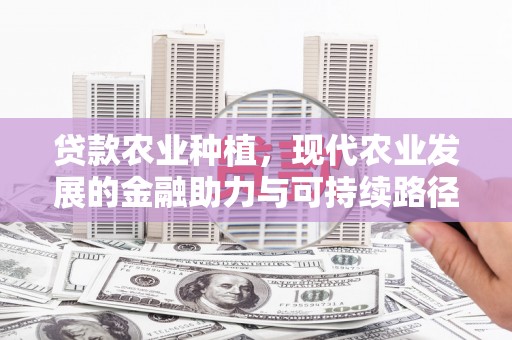 芦洲贷款农业种植，现代农业发展的金融助力与可持续路径
