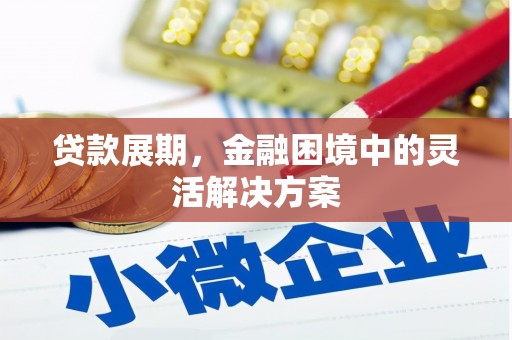 芦洲贷款展期，金融困境中的灵活解决方案