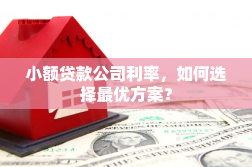 芦洲小额贷款公司利率，如何选择最优方案？