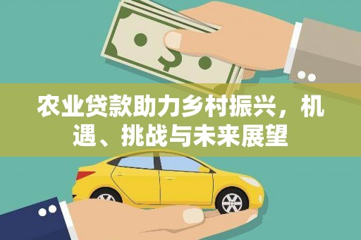 芦洲农业贷款助力乡村振兴，机遇、挑战与未来展望