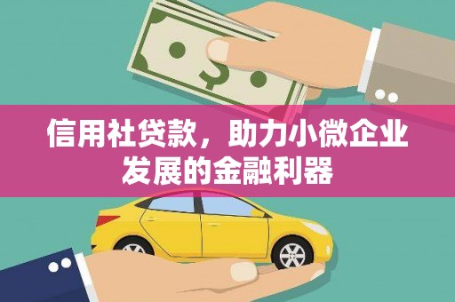 芦洲信用社贷款，助力小微企业发展的金融利器