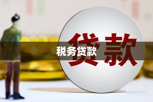 芦洲税务贷款