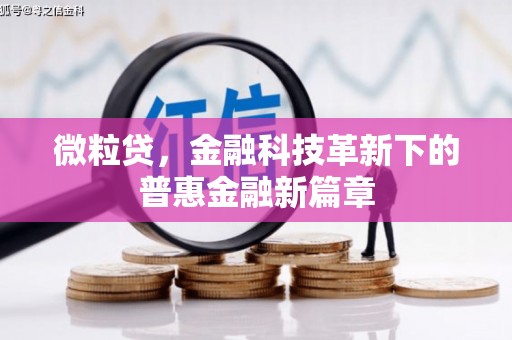 芦洲微粒贷，金融科技革新下的普惠金融新篇章