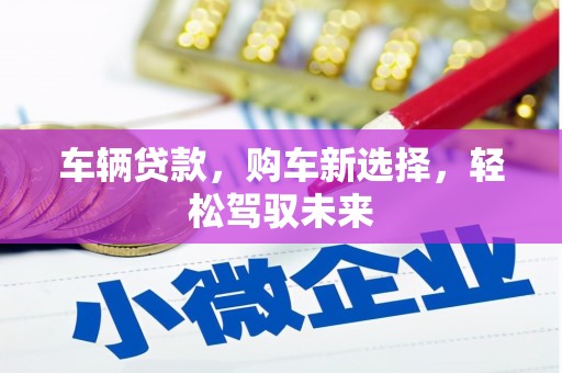芦洲车辆贷款，购车新选择，轻松驾驭未来