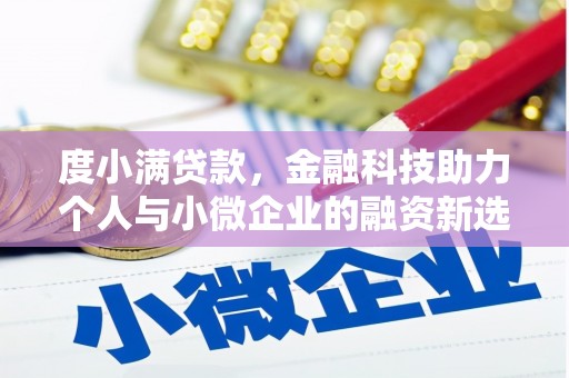 芦洲度小满贷款，金融科技助力个人与小微企业的融资新选择